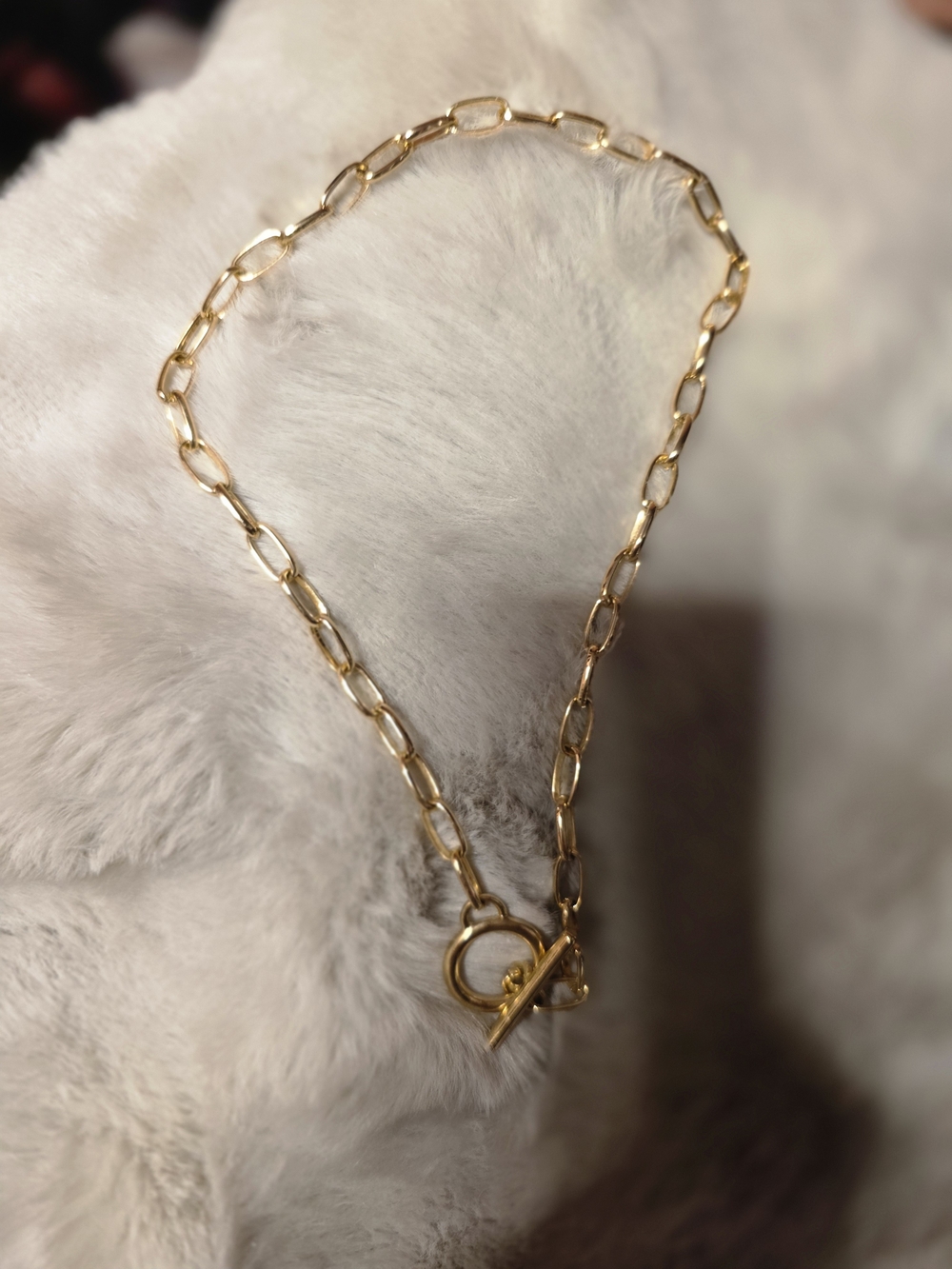 Source Unknown Gold Link Necklace with Toggle Clasp